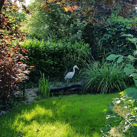 Haus Rosengarten Mit Sauna Ferienhaus