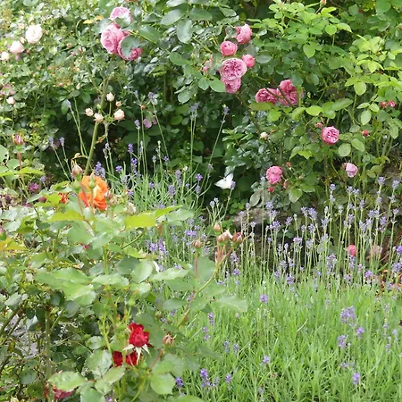 Ferienhaus Haus Rosengarten Mit Sauna *