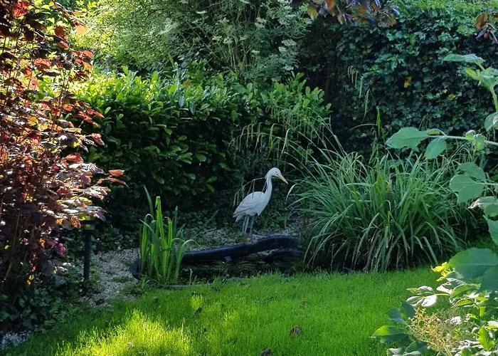 Haus Rosengarten Mit Sauna Feriehus