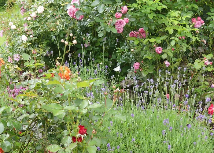 Feriehus Haus Rosengarten Mit Sauna *