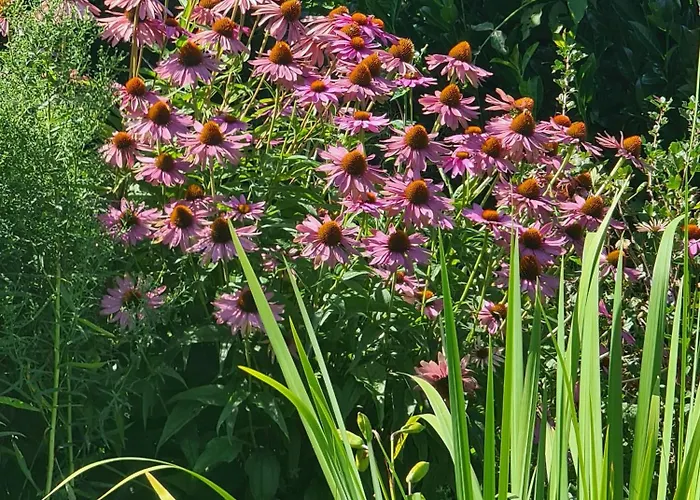 Haus Rosengarten Mit Sauna Feriehus